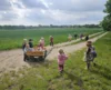 Foto vom Album: Rückblick April/Mai Mini- und kleine Füchse