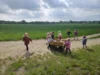 Foto vom Album: Rückblick April/Mai Mini- und kleine Füchse