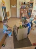 Foto vom Album: Rückblick April/Mai Mini- und kleine Füchse