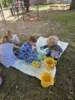Foto vom Album: Rückblick April/Mai Mini- und kleine Füchse
