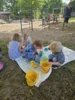 Foto vom Album: Rückblick April/Mai Mini- und kleine Füchse