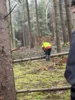 Foto vom Album: Löffinger 20`er 2026