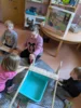 Foto vom Album: Rückblick April/Mai Große Füchse