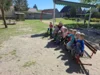 Foto vom Album: Rückblick April/Mai Große Füchse