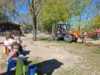 Foto vom Album: Rückblick April/Mai Große Füchse