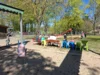 Foto vom Album: Rückblick April/Mai Große Füchse