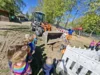 Foto vom Album: Rückblick April/Mai Große Füchse