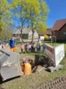 Foto vom Album: Rückblick April/Mai Große Füchse