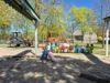 Foto vom Album: Rückblick April/Mai Große Füchse