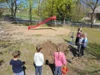 Foto vom Album: Rückblick April/Mai Große Füchse