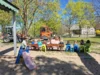 Foto vom Album: Rückblick April/Mai Große Füchse