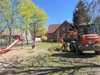 Foto vom Album: Rückblick April/Mai Große Füchse