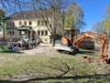 Foto vom Album: Rückblick April/Mai Große Füchse