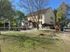 Foto vom Album: Rückblick April/Mai Große Füchse