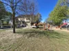 Foto vom Album: Rückblick April/Mai Große Füchse