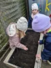 Foto vom Album: Bepflanzung unserer Hochbeete