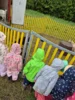 Foto vom Album: Spaziergang zum Zirkus
