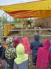 Foto vom Album: Spaziergang zum Zirkus
