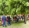 Foto vom Album: Jubiläumswoche in Zernitz Juni 2026