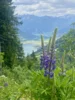 Foto vom Album: Bürgerfahrt Zell am See 2026