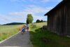 Foto vom Album: Crosslauf 2026