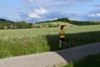 Foto vom Album: Crosslauf 2026