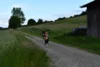 Foto vom Album: Crosslauf 2026