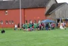 Foto vom Album: Crosslauf 2026