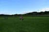Foto vom Album: Crosslauf 2026
