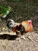 Foto vom Album: Teambildung mit Lili