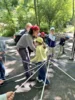 Foto vom Album: Teambildung mit Lili