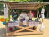 Foto vom Album: Kinder- und Familientag