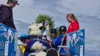 Foto vom Album: Familiensportfest Berlin