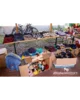 Foto vom Album: Flohmarkt