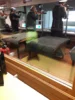 Foto vom Album: Einladung zum Pokalschießen in Trittau