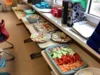 Foto vom Album: EU-Schulprogramm