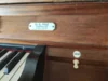 Orgel