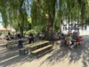 Foto vom Album: Midsommarparty des Fördervereins 2026