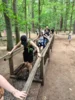 Foto vom Album: Ausflug der Kreisjugend 2026