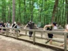 Foto vom Album: Ausflug der Kreisjugend 2026