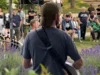 Foto vom Album: Fête de la Musique 2026