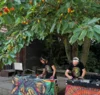 Foto vom Album: Fête de la Musique 2026