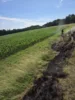 Foto vom Album: Einsatz 7/2026