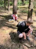 Foto vom Album: Walderlebniswoche 2026