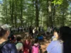 Foto vom Album: Walderlebniswoche 2026