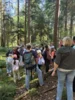 Foto vom Album: Walderlebniswoche 2026