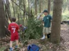 Foto vom Album: Walderlebniswoche 2026