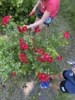Foto vom Album: Trauertreff für Kinder