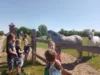 Foto vom Album: in den Pfingstferien auf Entdeckungstour durch Pretzier