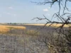 Foto vom Album: 280626 Dira Feld